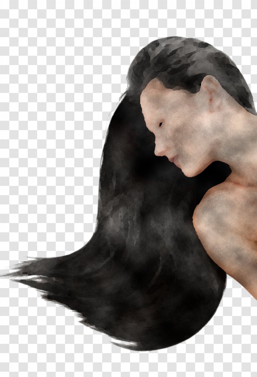 Hair Neck Head Skin Ear - Shoulder Male Transparent PNG