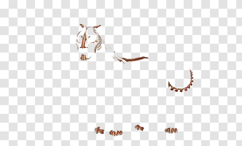 Cat Mammal Carnivora Animal Dog - Fauna - Painted Lion Transparent PNG