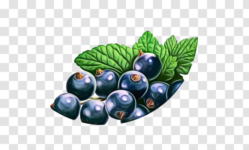 Berry Bilberry Fruit Blueberry Plant - Wet Ink - Currant Food Transparent PNG