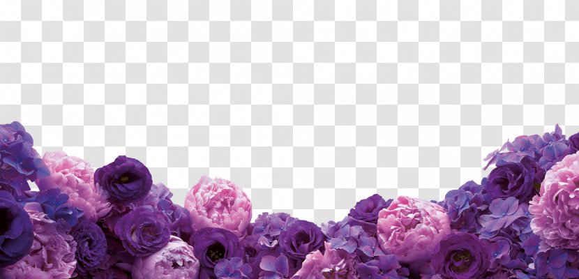 Floral Design Cut Flowers Purple Wallpaper - Pink Transparent PNG