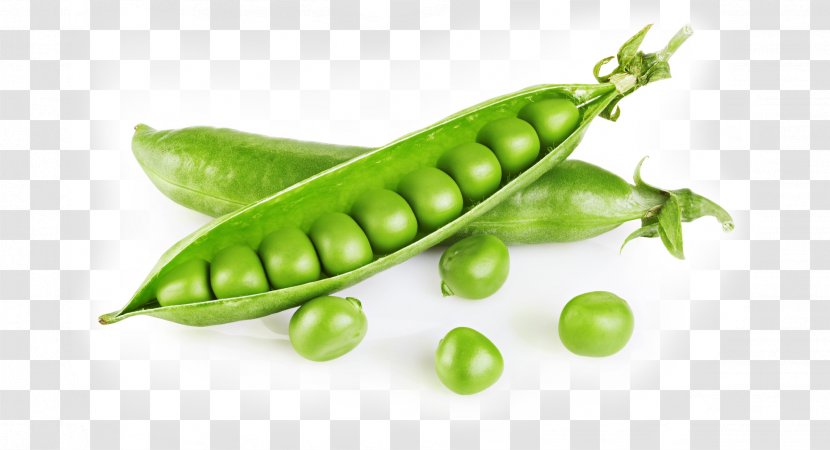 Snap Pea Food Vegetable Vegetarian Cuisine Transparent PNG
