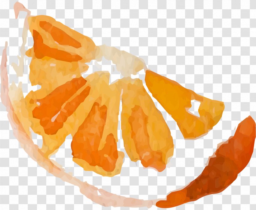 Mandarin Orange Watercolor Painting Fruit Image Illustration - Peel - Microsoft Of Oranges Transparent PNG