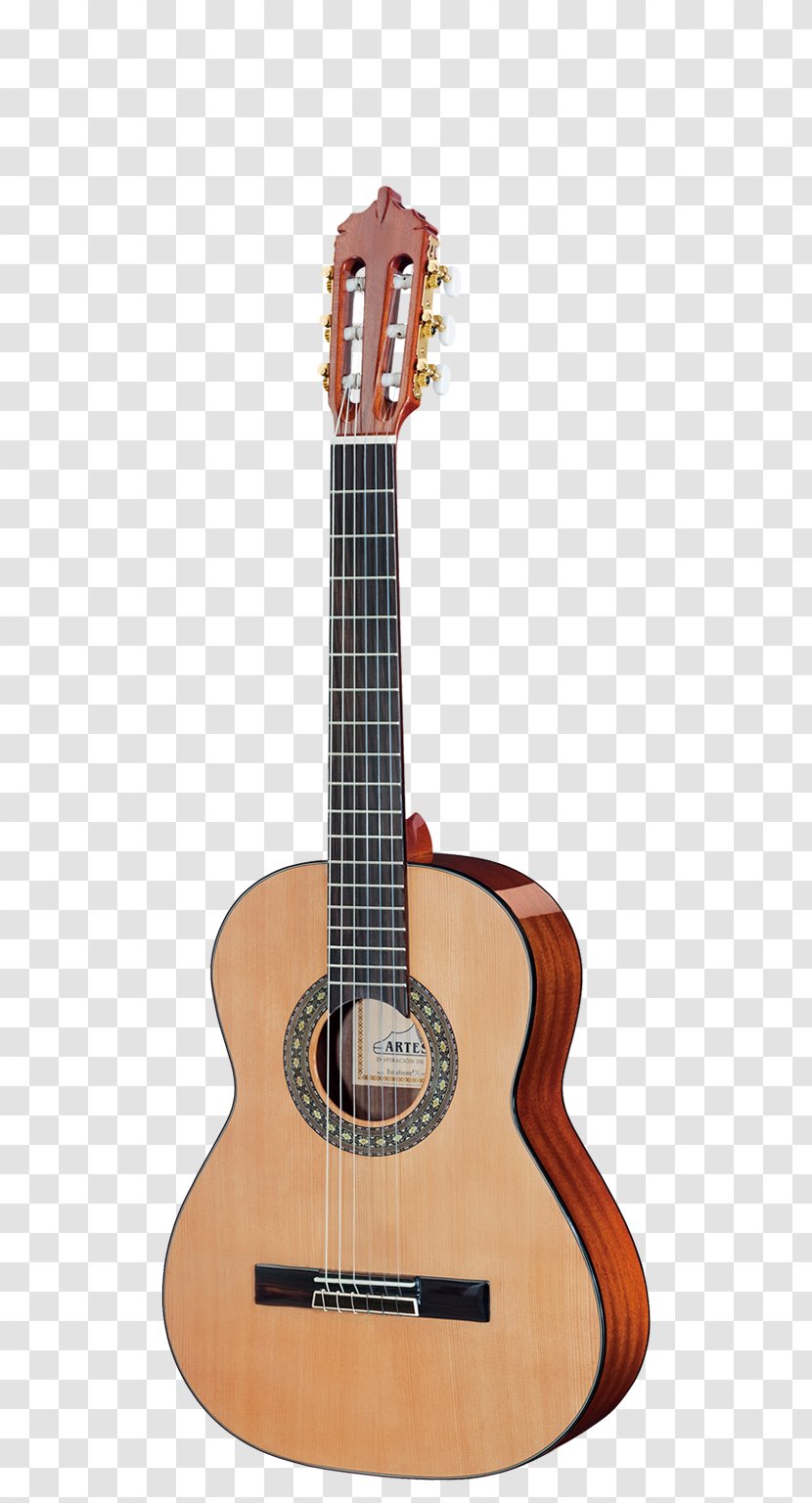 Acoustic Guitar Rosewood Fingerboard Dalbergia Latifolia Spruce - Tree Transparent PNG