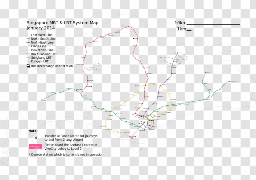 Line Map Angle Organism Tuberculosis Transparent PNG