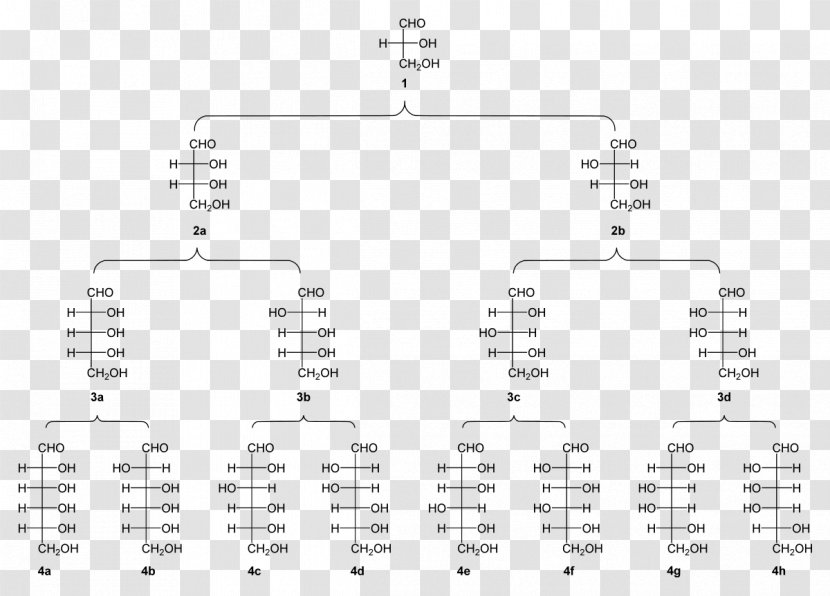 Aldose Carbohydrate Ketose Aldehyde Molecule - Frame - Flower Transparent PNG