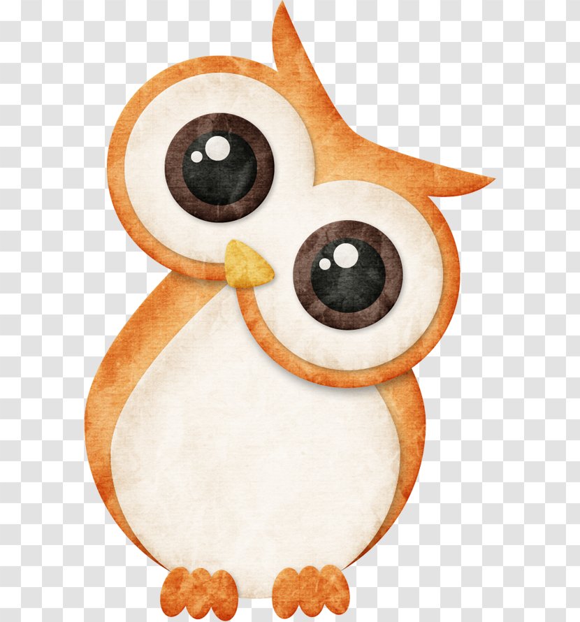 Barn Owl Drawing Clip Art - Flightless Bird - Night Transparent PNG