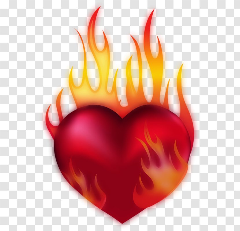 Heart Fire Clip Art - Petal Transparent PNG