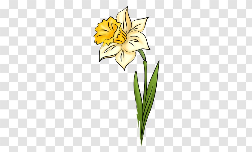 IPad Narcissus Daffodil Drawing Clip Art - Information Transparent PNG