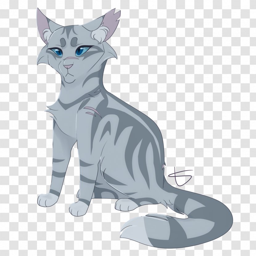 Whiskers Tabby Cat Canidae Dog - Mammal Transparent PNG