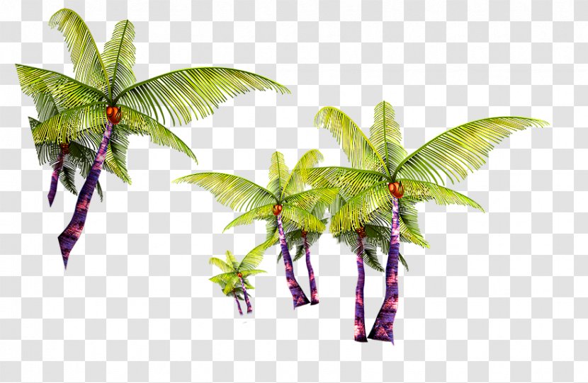 Coconut Tree Arecaceae - Plot - Green Simple Decoration Pattern Transparent PNG