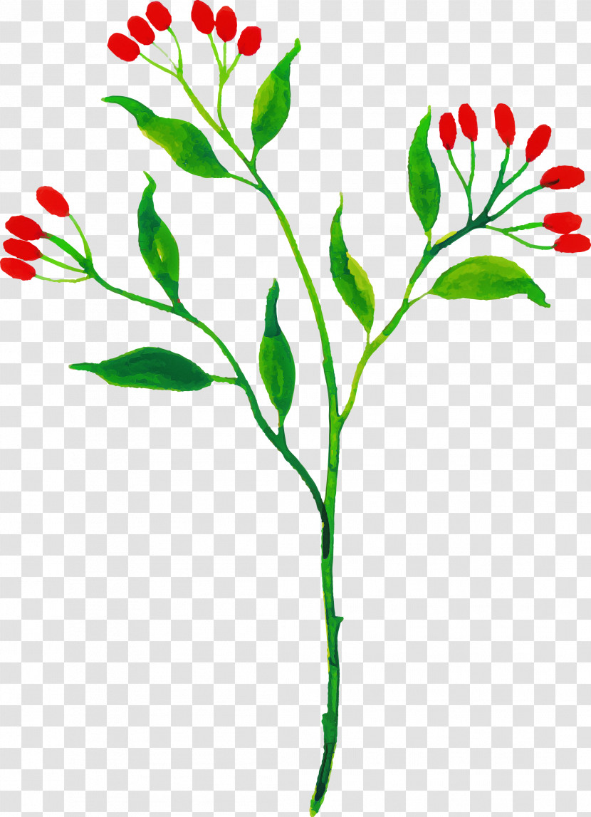 Floral Design Transparent PNG