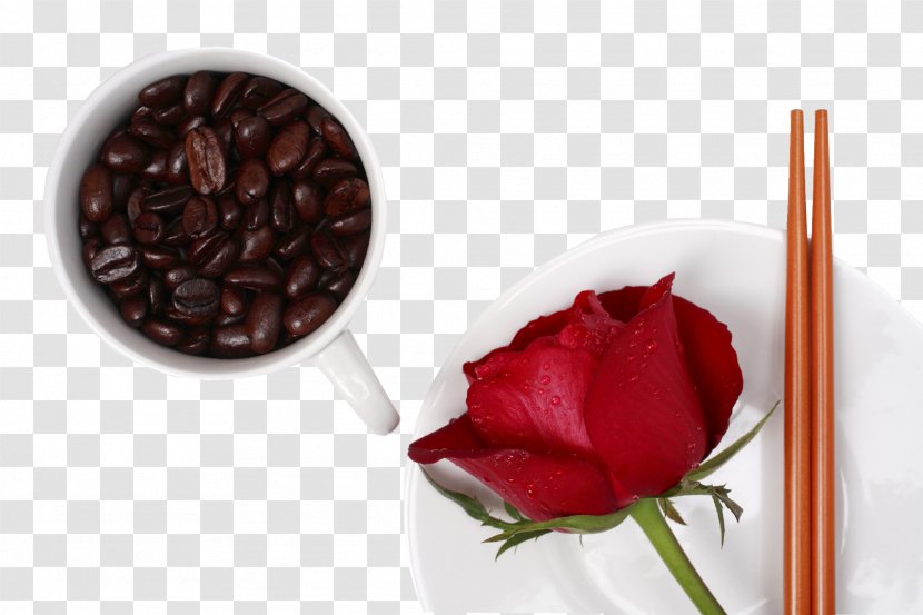 Love Morning Wallpaper - Petal - Rose And Coffee Beans Transparent PNG