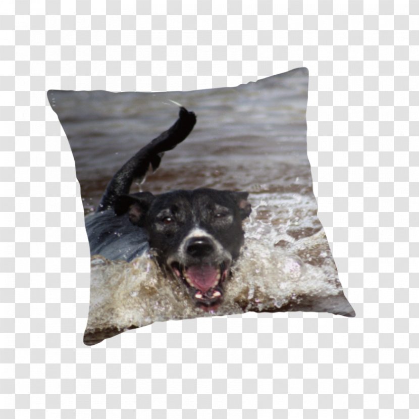 Dog Breed Throw Pillows Cushion - Like Mammal - Pillow Transparent PNG