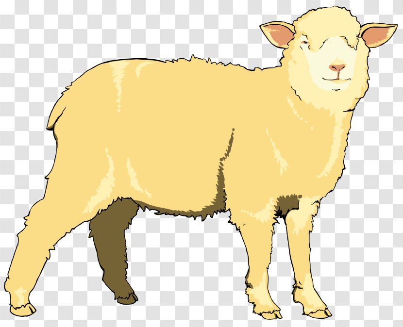 Sheep Licence CC0 Download Clip Art - Cattle Like Mammal - Cartoon Transparent PNG