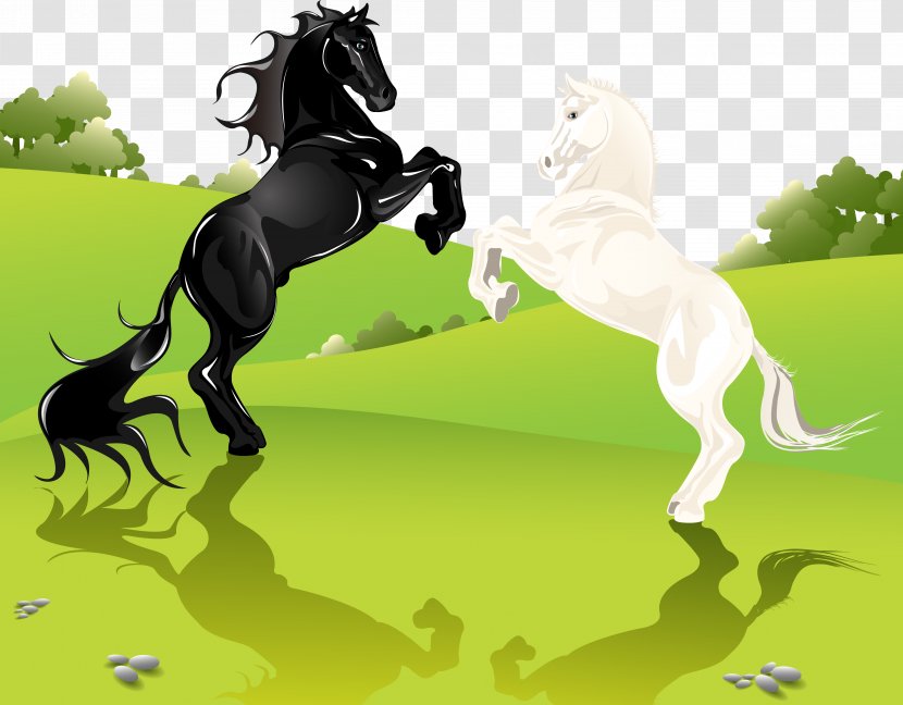 Horse Euclidean Vector Royalty-free Illustration - Vertebrate - Prairie Transparent PNG