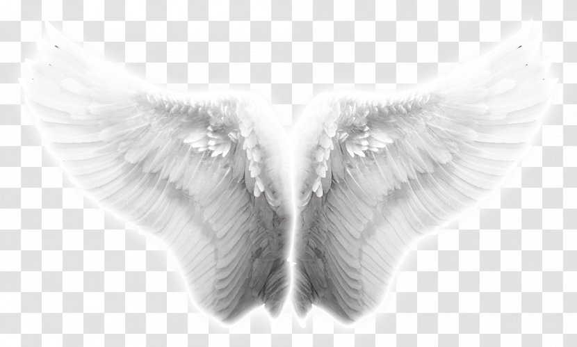 Angel Wing Icon - Wings, Taobao Creative Wings Effects Transparent PNG