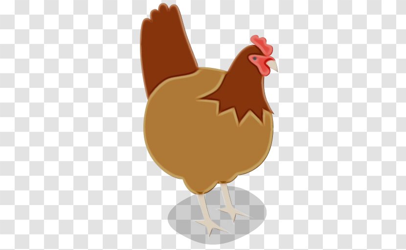 Chicken Rooster Bird Livestock Comb - Fowl - Beak Poultry Transparent PNG