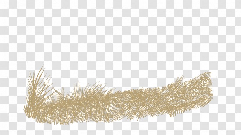 Feather Fur Brown - Wheat Spike Transparent PNG