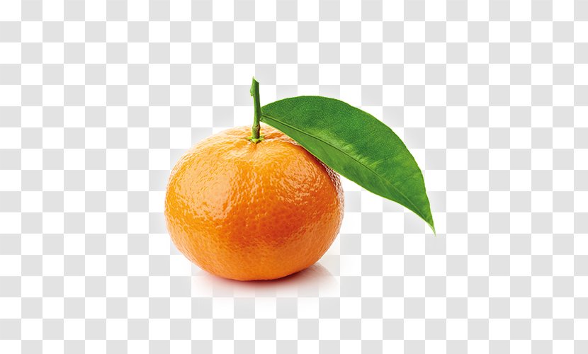 Clementine Marmalade Tangerine Mandarina Mandarin Orange Transparent PNG