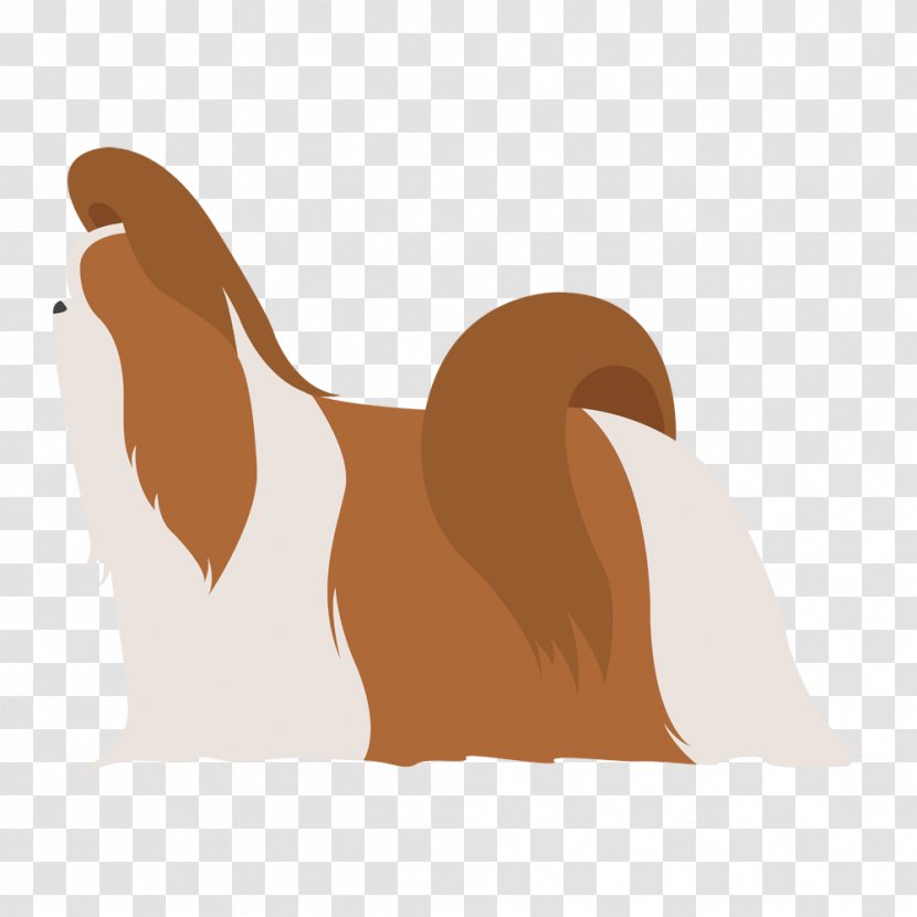 Maltese Dog Pekingese Cavalier King Charles Spaniel Boston Terrier - Breed - Tzu Transparent PNG