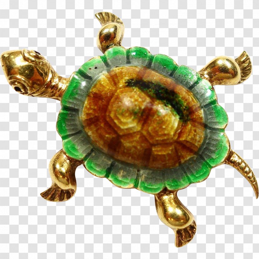 Box Turtle Reptile Tortoise Jewellery Transparent PNG