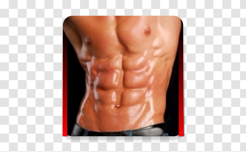 Bodybuilding Exercise Book Microsoft Physical Fitness - Watercolor Transparent PNG