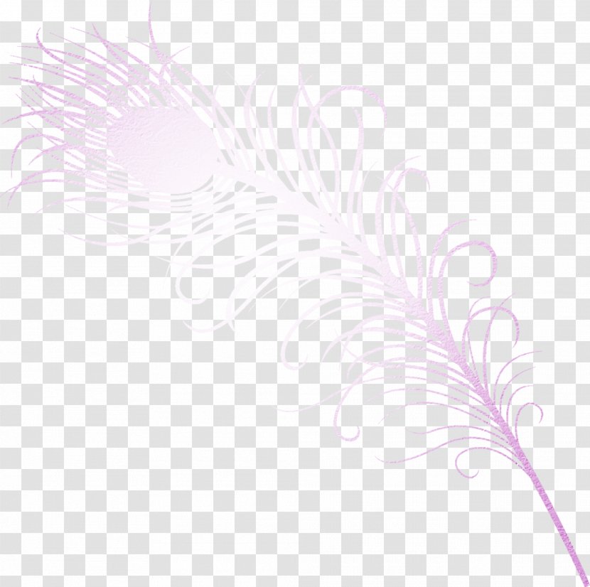 Petal Pattern - Pink - Purple Feather Material Free To Pull Transparent PNG