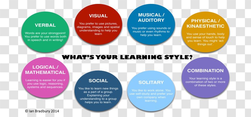 Learning Styles Kinesthetic Education Visual - Teacher - Teaching Method Transparent PNG