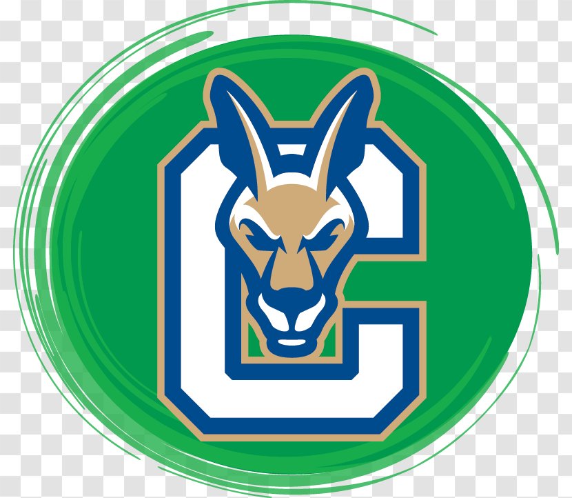 Suny Canton Athletic Center Endicott College State University Of New York System Sport - At - Student Transparent PNG