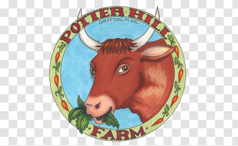 Potter Hill Farm Agriculture Beef Cattle Pasture - Chioggia Beets Transparent PNG