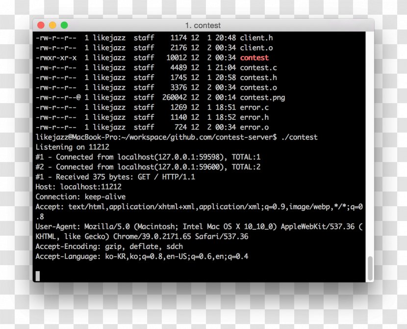 ASCII Linux MacOS Terminal Installation - Information Transparent PNG