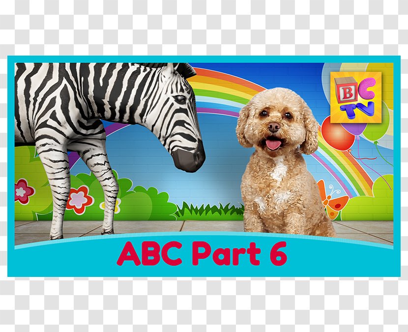 Puppy Alphabet Song Dog Letter - Breed Transparent PNG