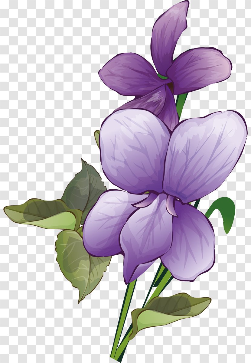 Plant Stem Herbaceous - Lilac - Violets Transparent PNG
