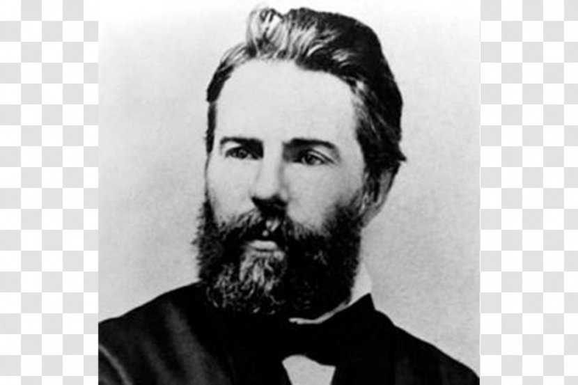 Herman Melville Moby-Dick Bartleby, The Scrivener Typee Piazza Tales - Facial Hair - Book Transparent PNG