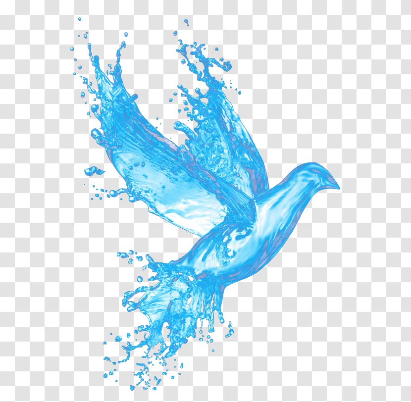 Bible Snow Road First Baptist Church God Learning Disciple - Fresh Blue Water Pigeon Transparent PNG