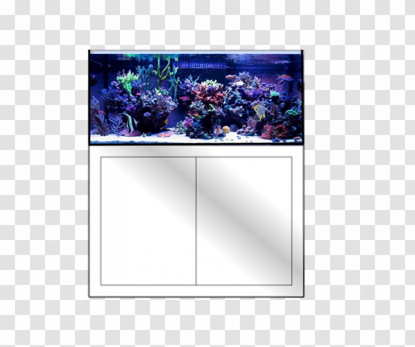 Aquarium Picture Frames - Purple - Dreams Filter Transparent PNG