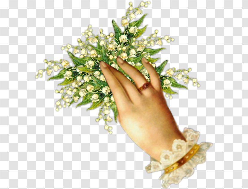 1 May Lily Of The Valley Centerblog .net - Hand - Flower Transparent PNG