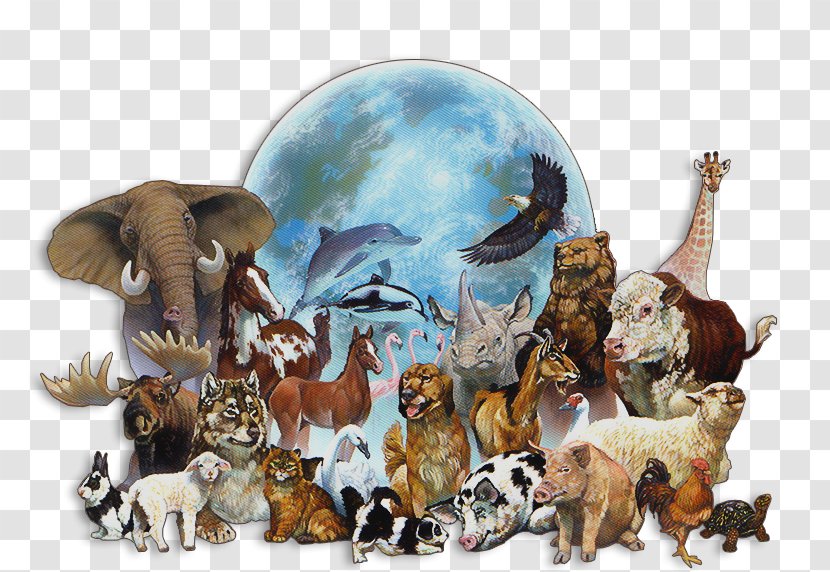 What Do You Know About Animals? Animal Welfare Extinction Endangered Species - Cruelty To Animals - Dog Transparent PNG