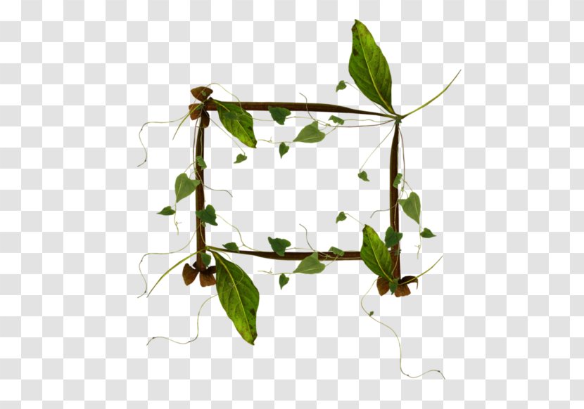 Leaf Twig - Drawing - Techno Border Transparent PNG