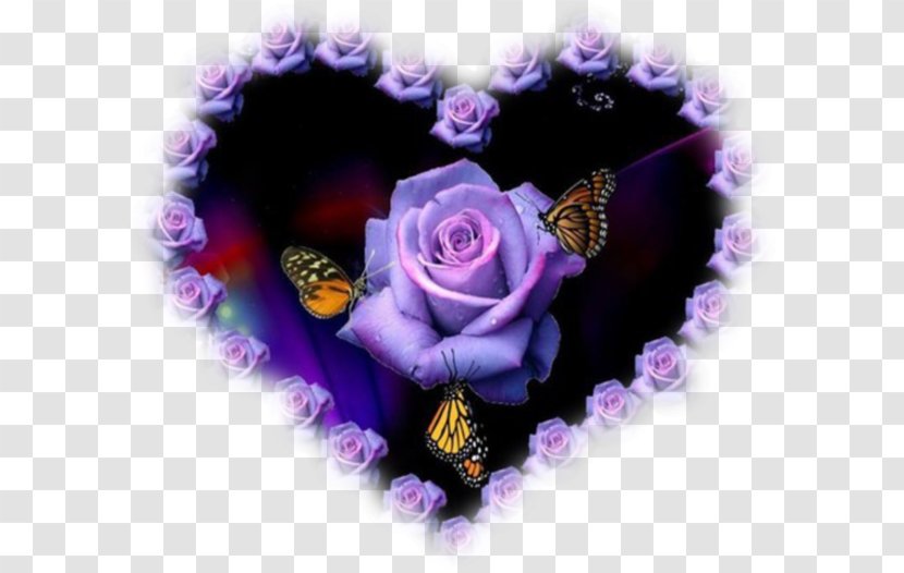 Blue Rose Garden Roses Flower - Purple Transparent PNG