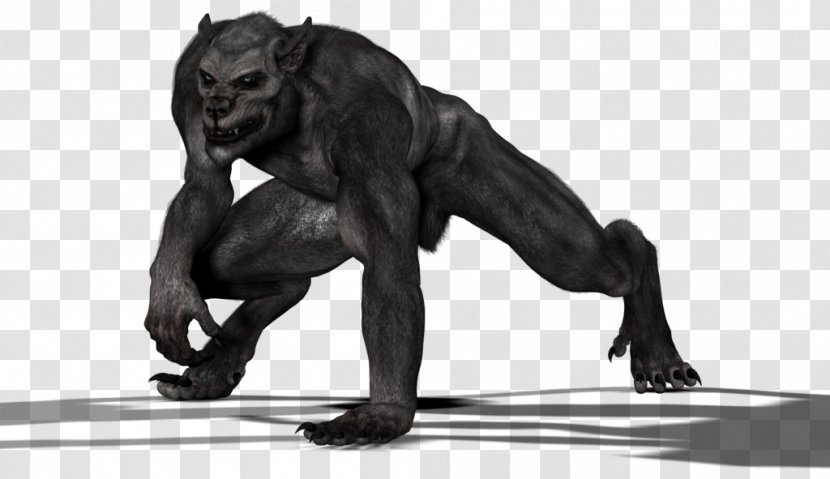Common Chimpanzee Gorilla DeviantArt Homo Sapiens - Work Of Art Transparent PNG