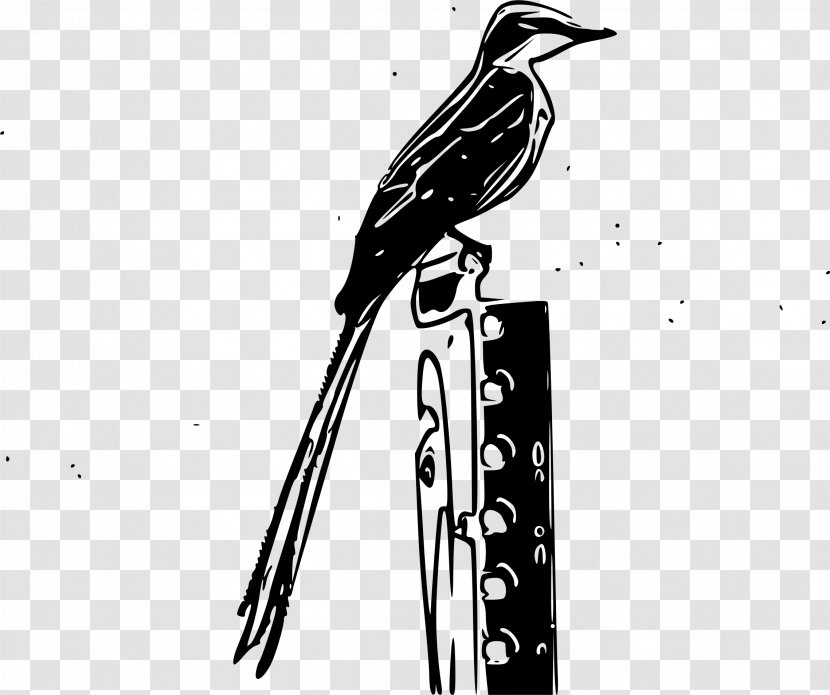 Bird Scissor-tailed Flycatcher Clip Art - Fauna - Scissor Transparent PNG