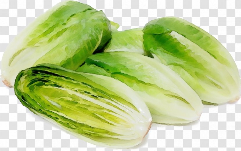 Vegetable Leaf Iceburg Lettuce Food Plant - Cabbage Chinese Transparent PNG