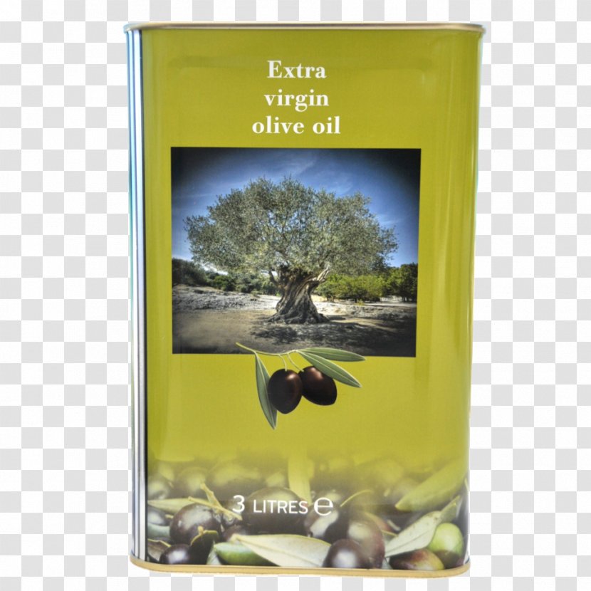 Olive Oil Saturated Fat Archiwum Allegro Calorie - Protein Transparent PNG