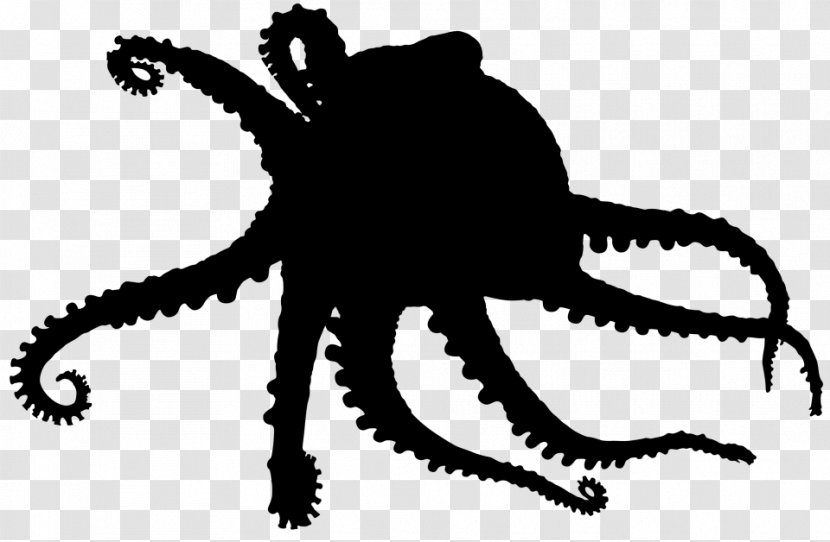 Octopus Clip Art Character Line Silhouette - Invertebrate - Fiction Transparent PNG