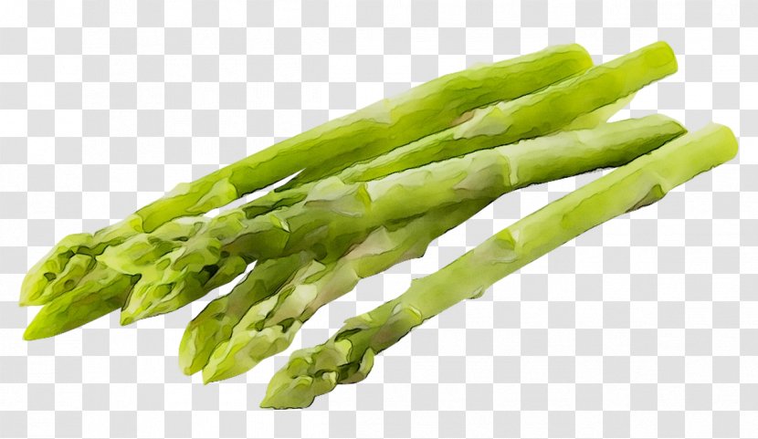 Asparagus Negative-calorie Food Nutrient Health - Ingredient - Weight Loss Transparent PNG