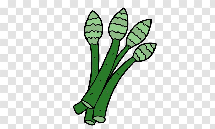 Vegetable Cucumber Soup Broccoli Leaf - Learning Transparent PNG
