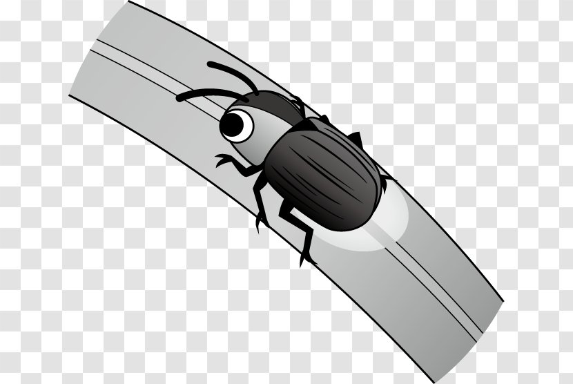 Firefly Insect Illustration Image Clip Art - Blog Transparent PNG