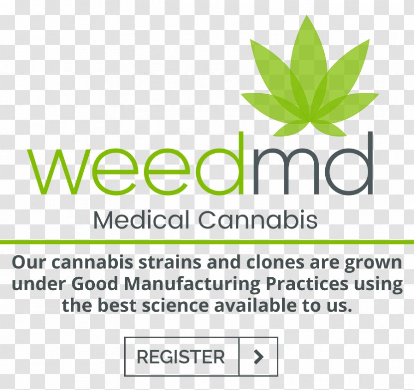Ontario WeedMD Medical Cannabis CVE:WMD TSX Venture Exchange - Tree Transparent PNG