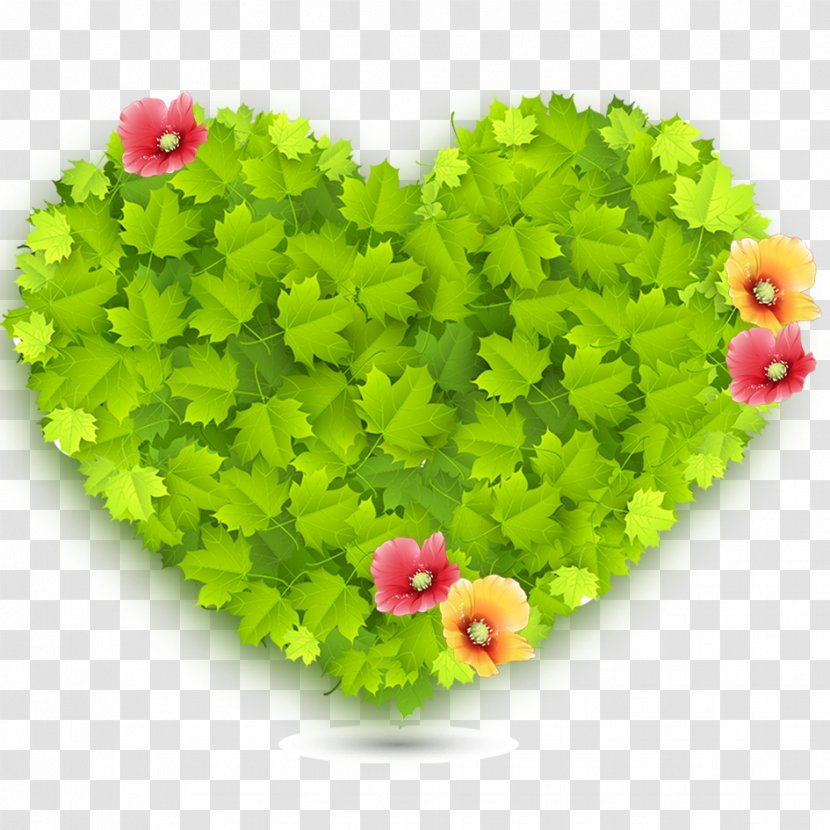 Green Heart Love Wallpaper Transparent PNG